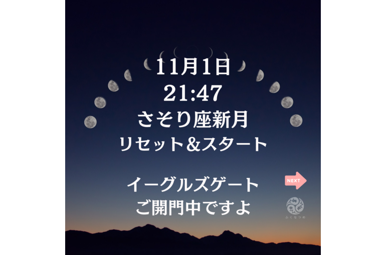 インスタ　2月新月旧正月2月キャンペーン (Instagramの投稿) (11)