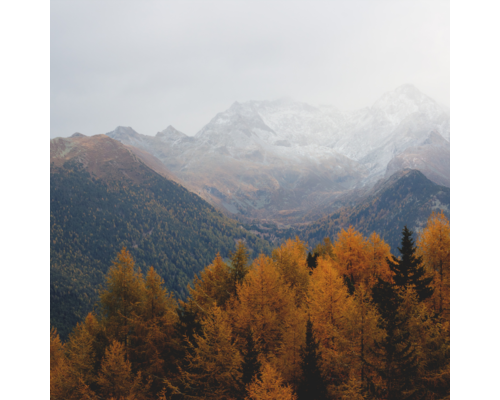 二十四節気　寒露