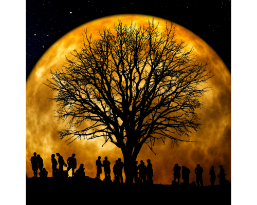 今日は牡牛座満月とブルームーン