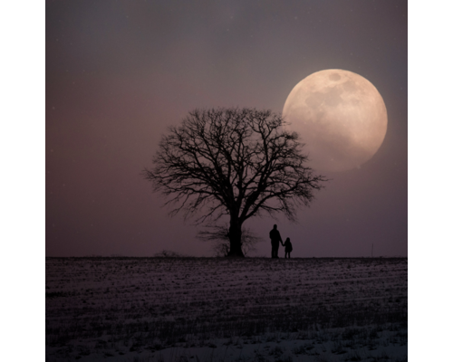 二十四節気～小雪～三首冷やすな！その理由は？｜ココロとカラダを整体する浦和エリアの女性専用サロン