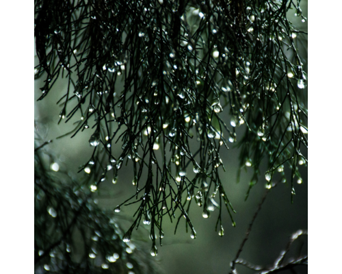 雨の日に不調になる人の体質とは？｜ココロとカラダを整体する浦和エリア女性専用サロン