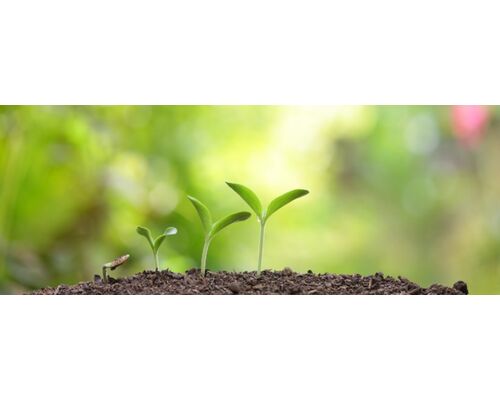 最短21日でネガティブな自分卒業！幸せマインドセット開運体質ノート術　無料セミナー