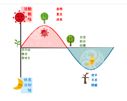 浦和40代女性を癒す経絡整体サロン｜明日の冬至までにしておきたい３つのこと