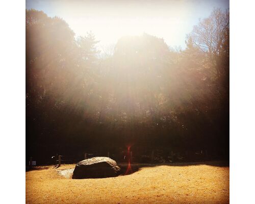 浦和40代女性を癒す経絡整体サロン｜年始は3日から！2021年もよろしくお願いいたします|