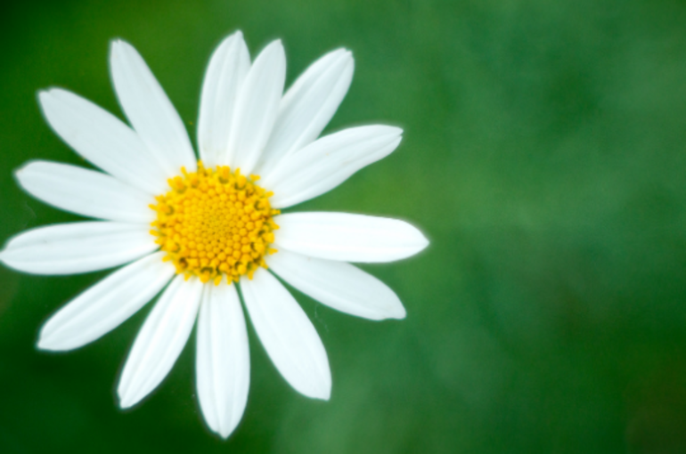 【浦和　整体】暦の上では夏到来～初夏の過ごし方のポイント～