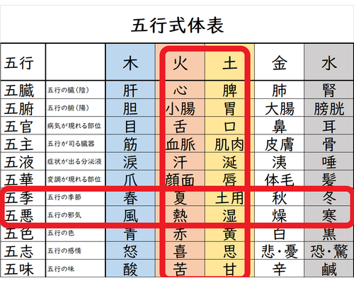 湿気と暑さでバテているあなたへ～自然界のトリセツ　五行式体表～