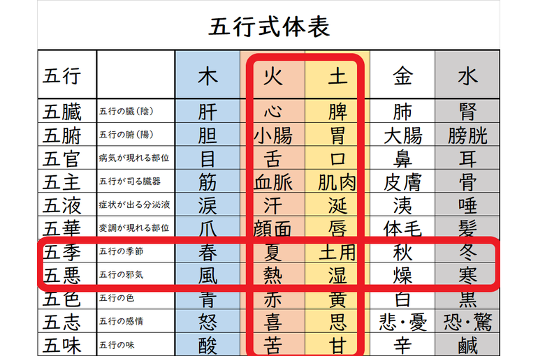 湿気と暑さでバテているあなたへ～自然界のトリセツ　五行式体表～