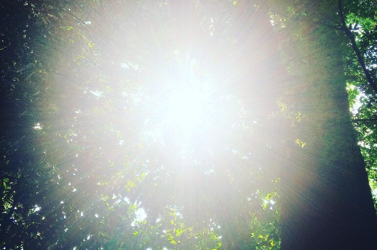 明日は陽の気MAXの夏至～2021年後半をどう過ごす？～