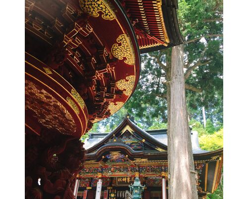 【浦和　かっさ】自然のエネルギーでデジタルデトックス～秩父　三峰神社編～