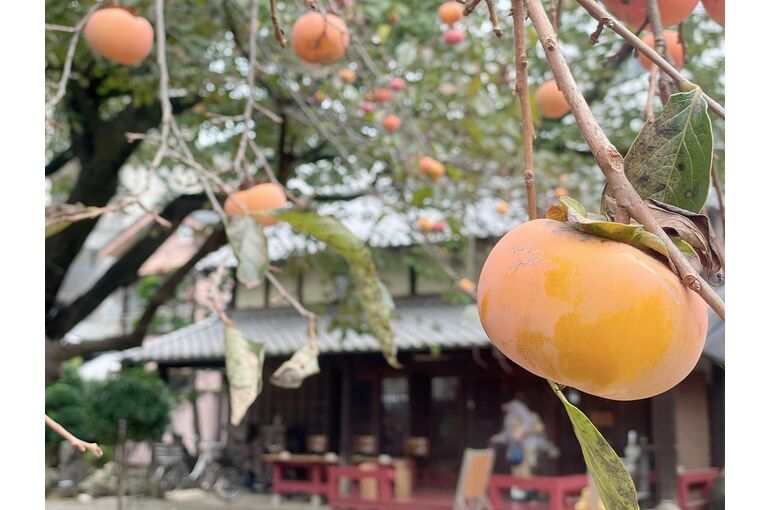 【浦和　かっさ】オトナの遠足開運ツアー＠浦和編　その①～７のシンクロ編～
