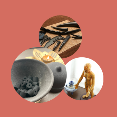 マメチシキスライド (3)